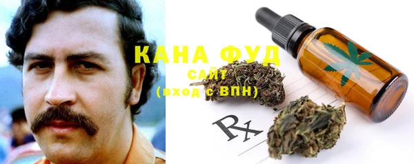 первитин Новодвинск