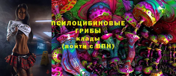 крисы Вязники