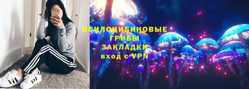 Псилоцибиновые грибы Magic Shrooms  Агрыз 