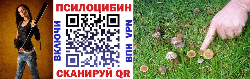 mega онион  Агрыз  Галлюциногенные грибы Magic Shrooms 